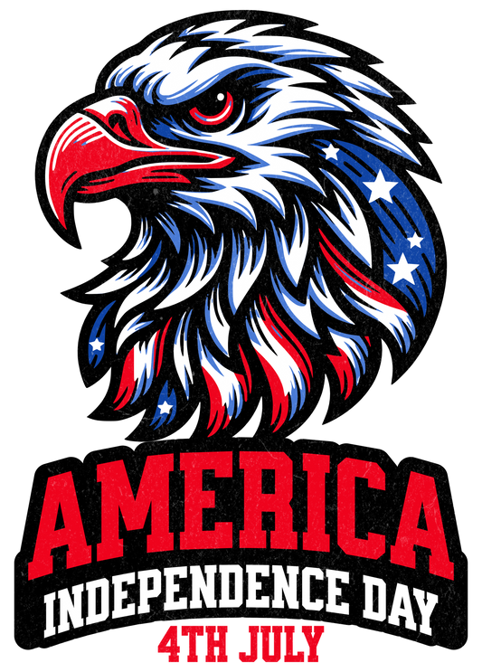 American Eagle T-Shirt